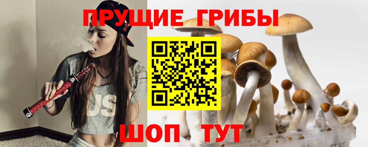 Псилоцибиновые грибы мухоморы Арсеньев
